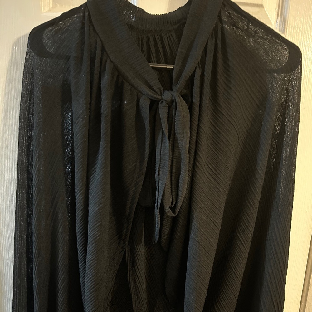 Plus size chiffon mock neck long sleeve crop top